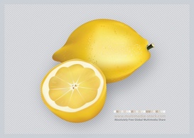 3D Lemons Fruit Vector