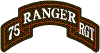 75th Rangers Rgt Coat Of Arms Preview