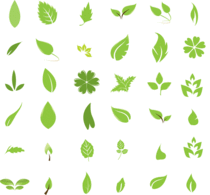 Nature - A nice selection of vector leaves for all your 