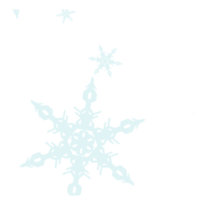 A snowflake