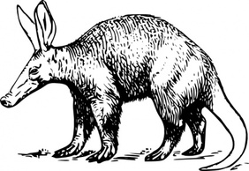 Animals - Aardvark clip art 