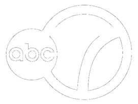 Abc 7 