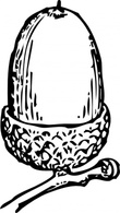 Acorn clip art 