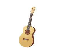 Acoustic Guitar