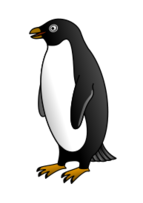 Animals - Adelie penguin 