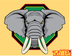 African Elephant Head Vector