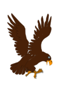 Aguila 