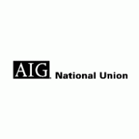 Finance - AIG National Union 