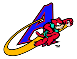 Akron Aeros