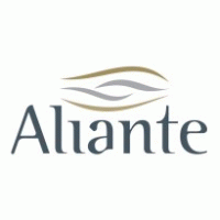 Finance - Aliante SRL 