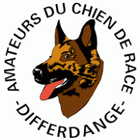 Sports - Amateurs du chien race 