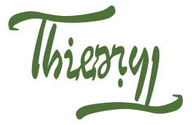 Ambigramme Thierry Preview