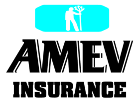 Amev Insurance