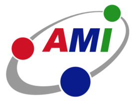 Ami Partners