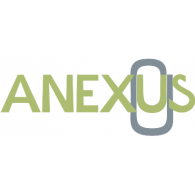 Anexus Consultoria