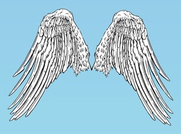 Angel Wings