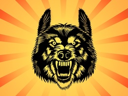 Animals - Angry Wolf Vector 