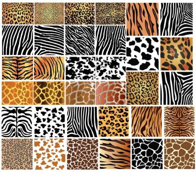 Backgrounds - Animal Skin Patterns 
