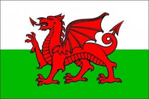 Animals Dragon Cymru Flag Wales Michae Cartoon Signs Symbols Flags Animal Welsh Preview