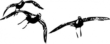 Animals Golden Birds Flying Lineart Plovers Preview