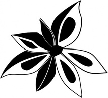 Nature - Anise Plant clip art 