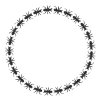 Ornaments - Ant Border Circle 