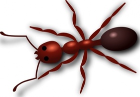 Ant clip art