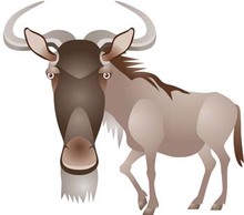 Animals - Antelope Vector 2 