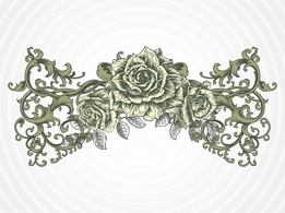 Nature - Antique Rose Vector 