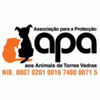 Services - Apa 