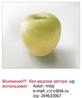 Apple 11