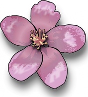 Food - Apple Blossom clip art 