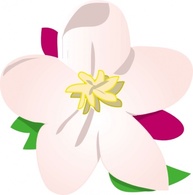 Food - Apple Blossom clip art 