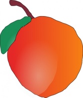 Food - Apple clip art 