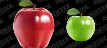 Food - Apple vector 