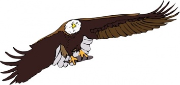 Aquila Frontale clip art Preview