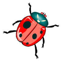 Animals - Architetto -- Coccinellona 03 