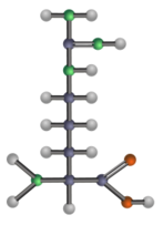 Arginine (amino acid)