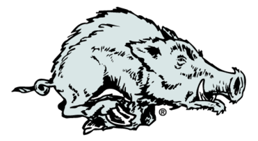 Arkansas Razorback