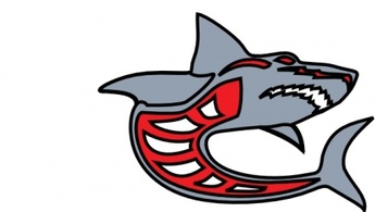 Ashed Shark Grey Red By Ashed clip art Preview