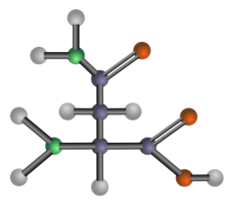 Asparagine (amino acid)