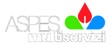 Aspes Multiservizi Spa Preview