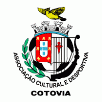 Associaзгo Cultural e Desportiva Cotovia Preview