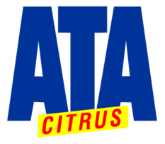 Ata Citrus Preview