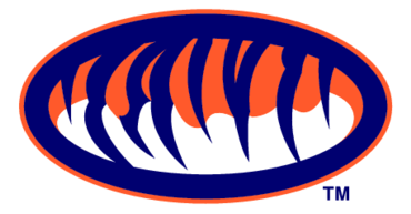 Auburn Tigers