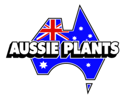 Aussie Plants