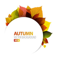 Holiday & Seasonal - Autumn Backgrounds Vector 