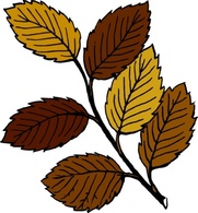 Nature - Autumn Leaves On Branch clip art 
