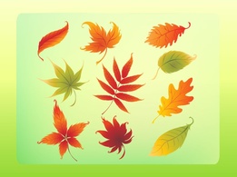 Elements - Autumn Leaves Vector Set 