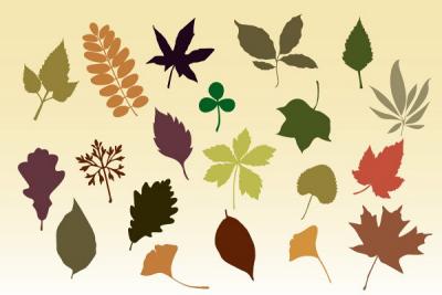 Abstract - Autumn Leaves Vector Silhouettes 